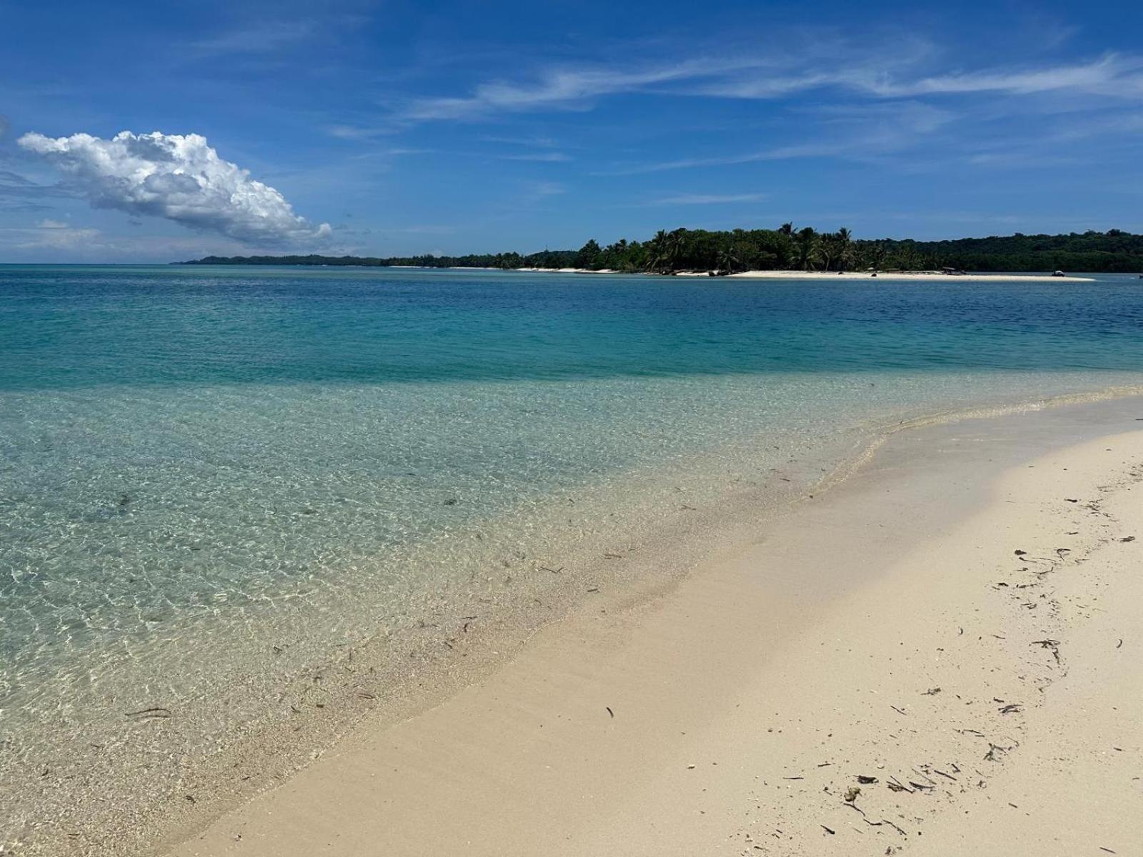 ホテル La Buvette Ile aux Nattes エクステリア 写真